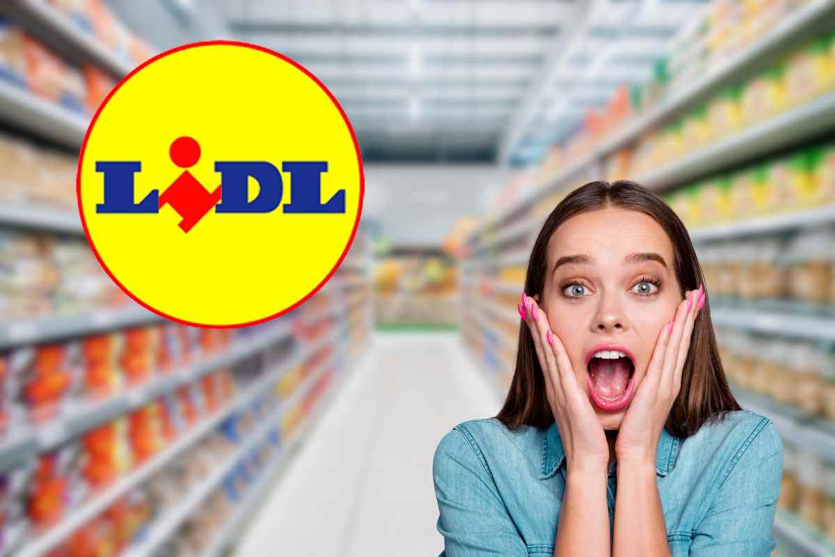 lidl singer macchina da cucire